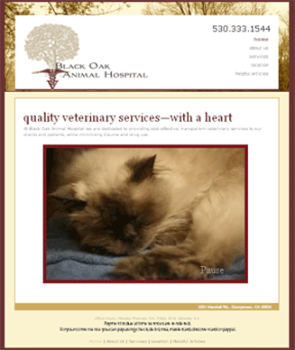 Black Oak Animal Hospital